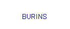 Zone de Texte: BURINS